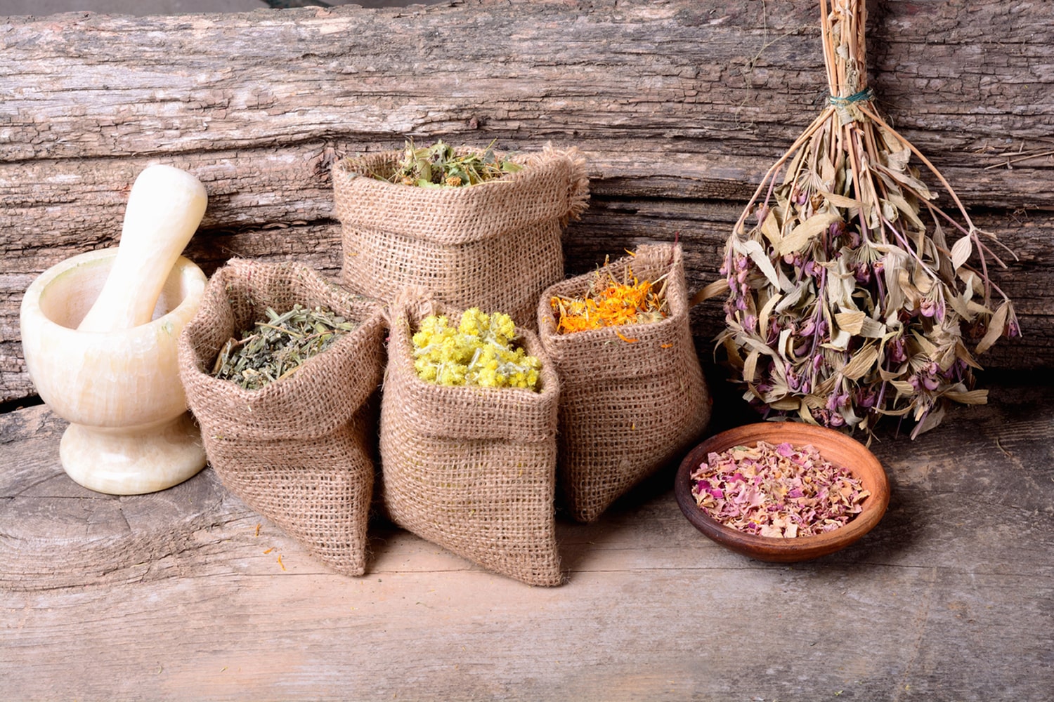 Dried Flowers