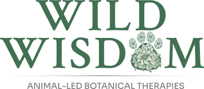 Wild Wisdom